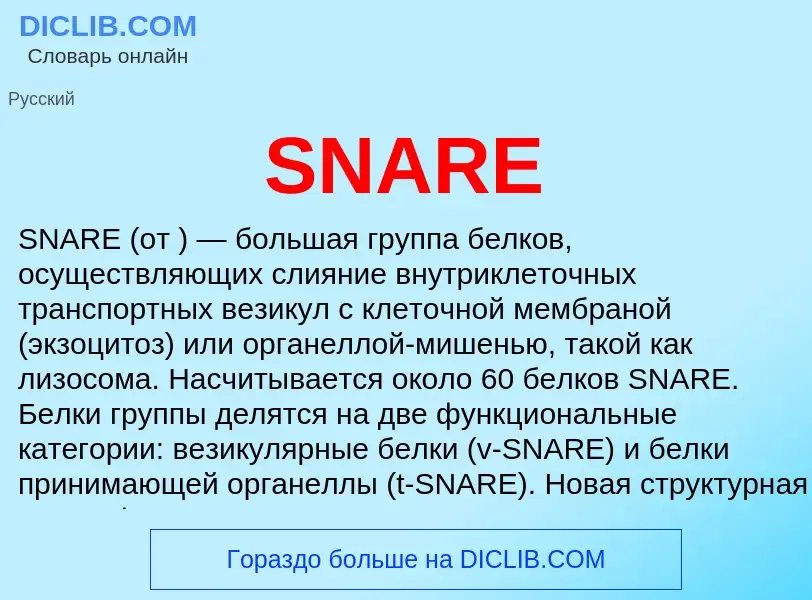 Что такое SNARE - определение