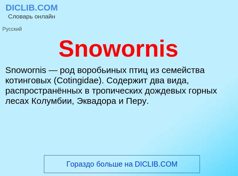 Che cos'è Snowornis - definizione