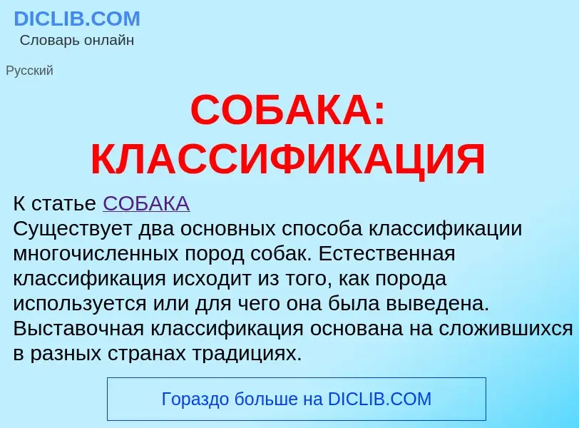 Что такое СОБАКА: КЛАССИФИКАЦИЯ - определение