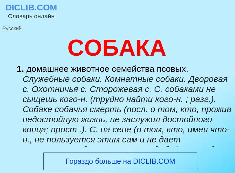 Что такое СОБАКА - определение