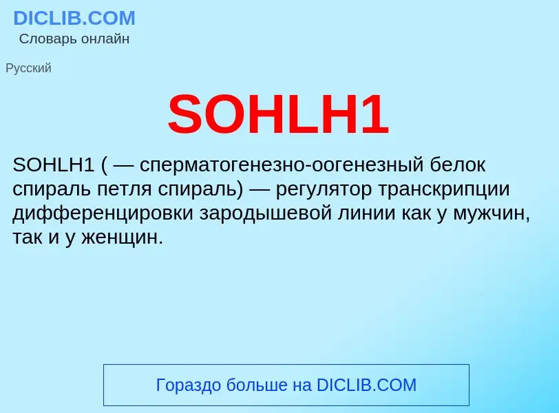 Что такое SOHLH1 - определение