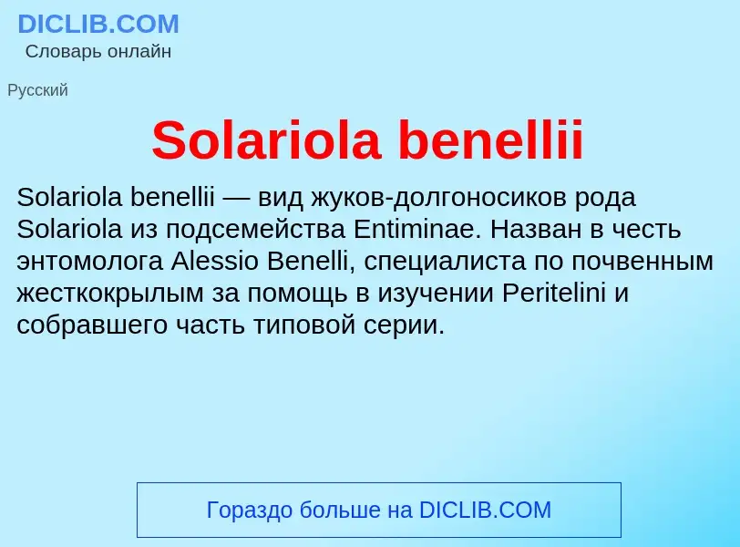 Che cos'è Solariola benellii - definizione