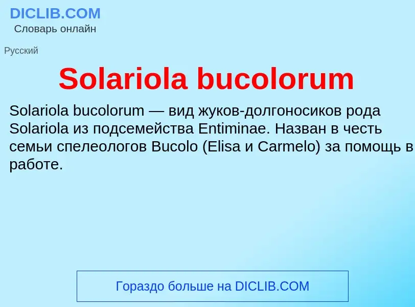 Che cos'è Solariola bucolorum - definizione