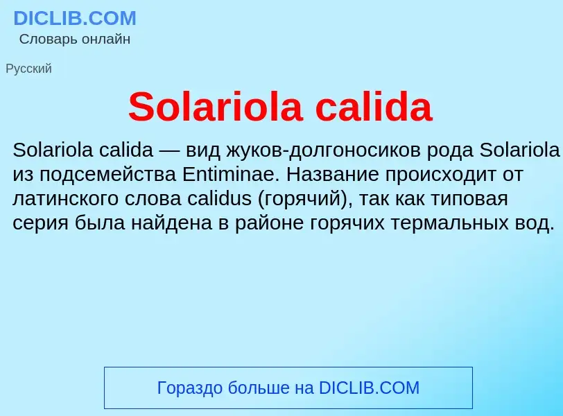 Che cos'è Solariola calida - definizione