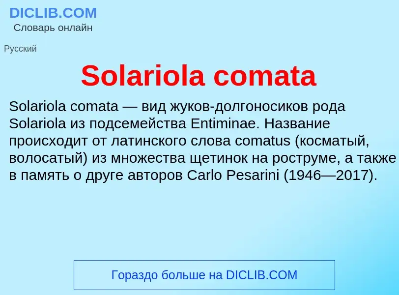 Che cos'è Solariola comata - definizione