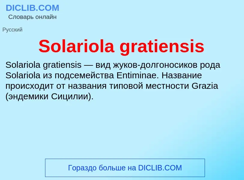 Che cos'è Solariola gratiensis - definizione