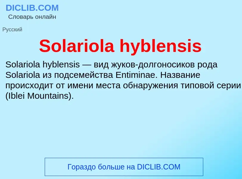 Che cos'è Solariola hyblensis - definizione