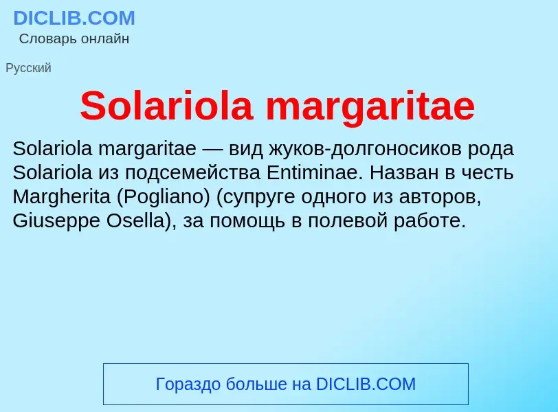 Che cos'è Solariola margaritae - definizione