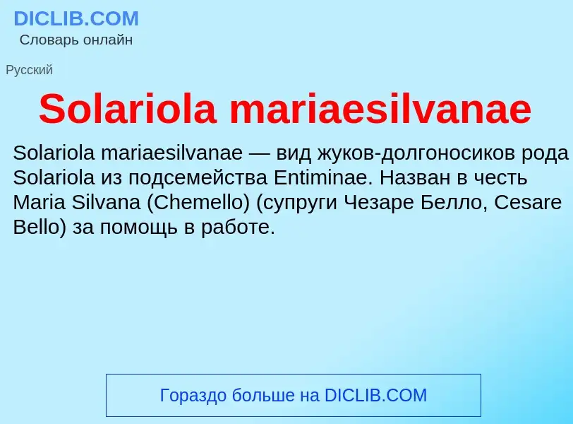 Che cos'è Solariola mariaesilvanae - definizione