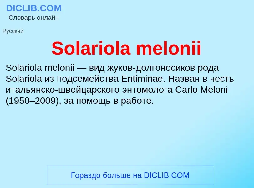 Che cos'è Solariola melonii - definizione