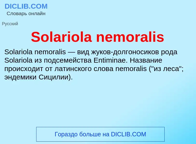 Che cos'è Solariola nemoralis - definizione