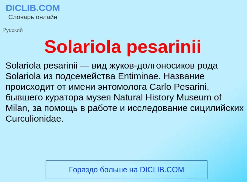 Che cos'è Solariola pesarinii - definizione