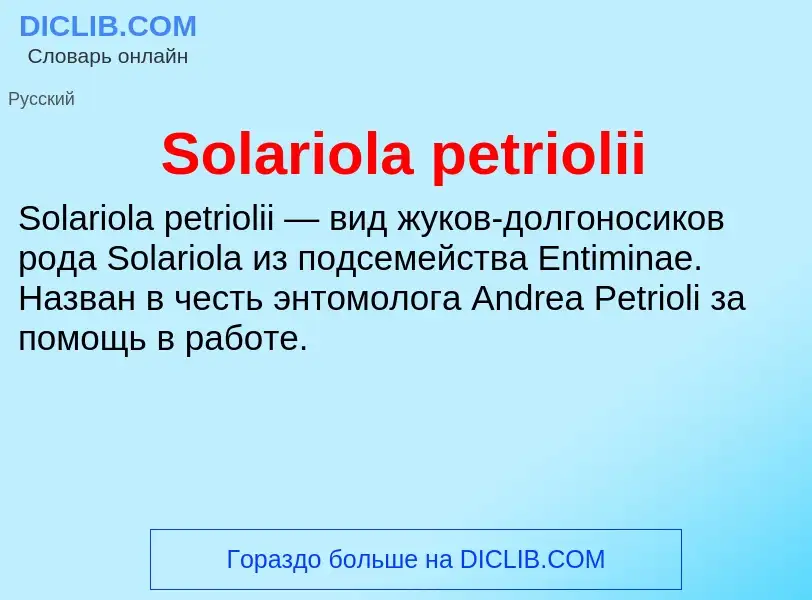 Che cos'è Solariola petriolii - definizione