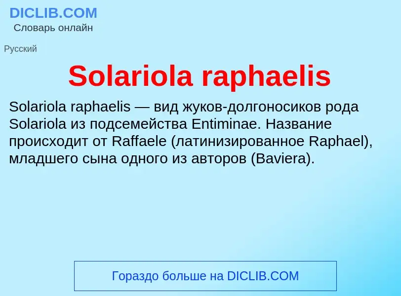 Che cos'è Solariola raphaelis - definizione