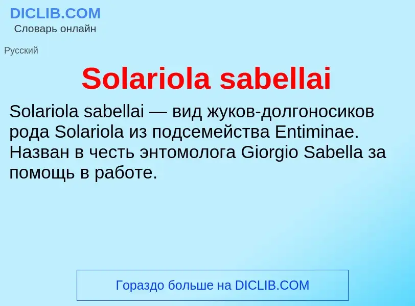 Che cos'è Solariola sabellai - definizione