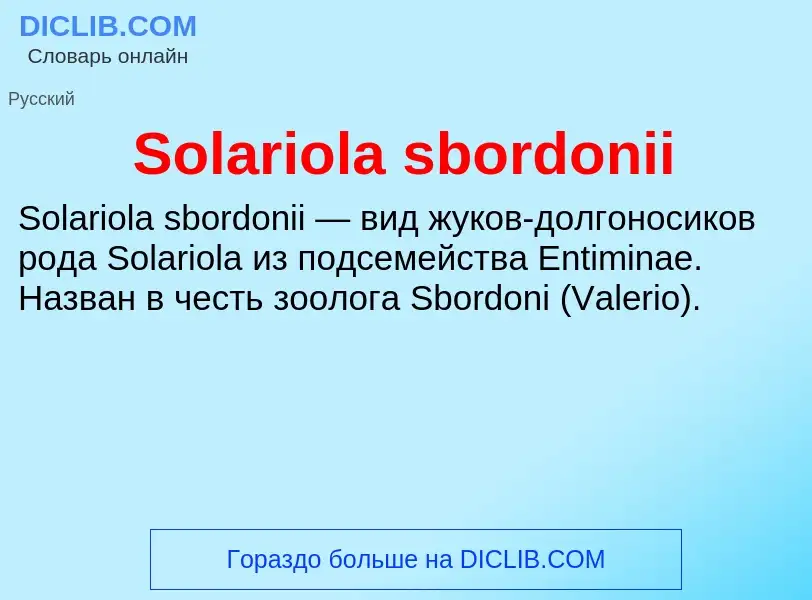 Che cos'è Solariola sbordonii - definizione