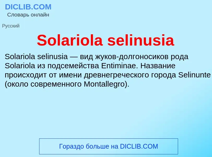 Che cos'è Solariola selinusia - definizione