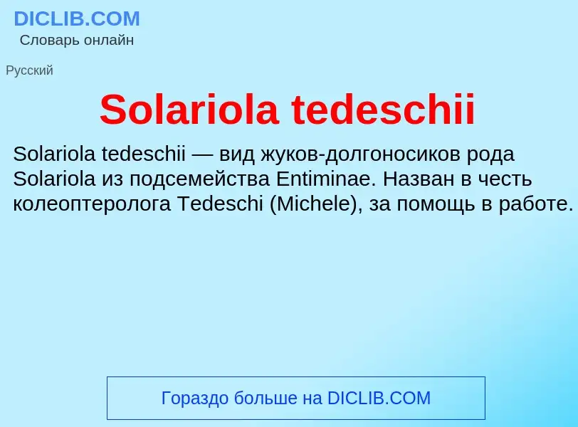 Che cos'è Solariola tedeschii - definizione