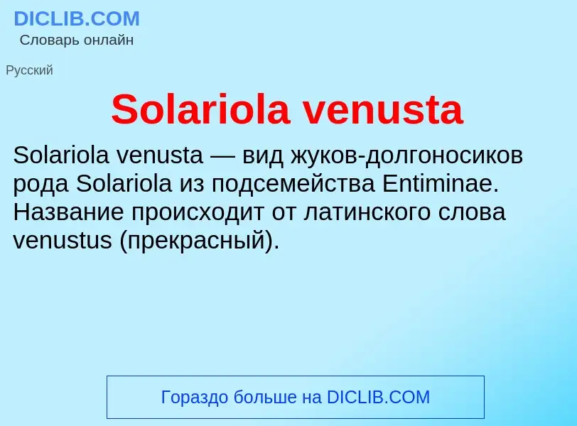 Che cos'è Solariola venusta - definizione