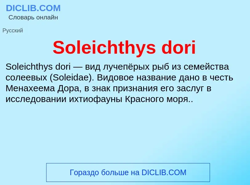 Che cos'è Soleichthys dori - definizione