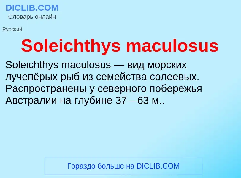 Che cos'è Soleichthys maculosus - definizione