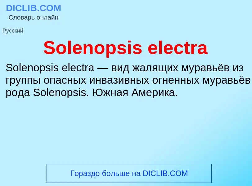 Che cos'è Solenopsis electra - definizione