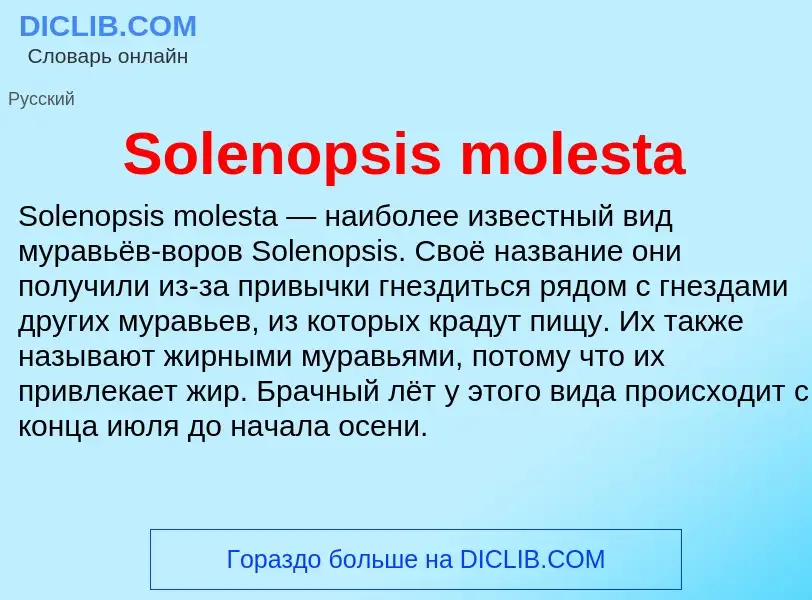 Che cos'è Solenopsis molesta - definizione