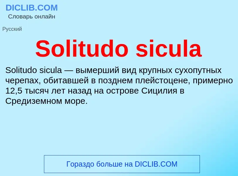 Che cos'è Solitudo sicula - definizione