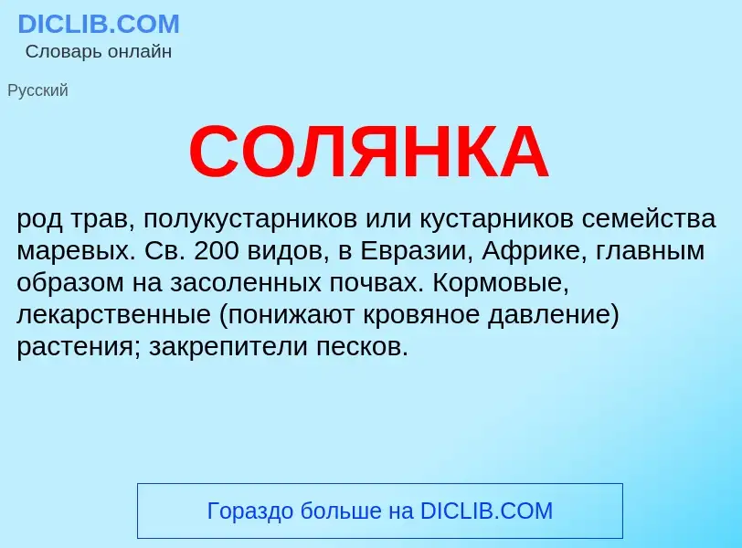 What is СОЛЯНКА - definition