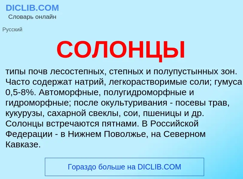 What is СОЛОНЦЫ - meaning and definition