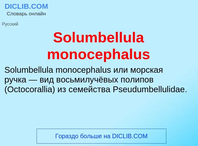 Che cos'è Solumbellula monocephalus - definizione