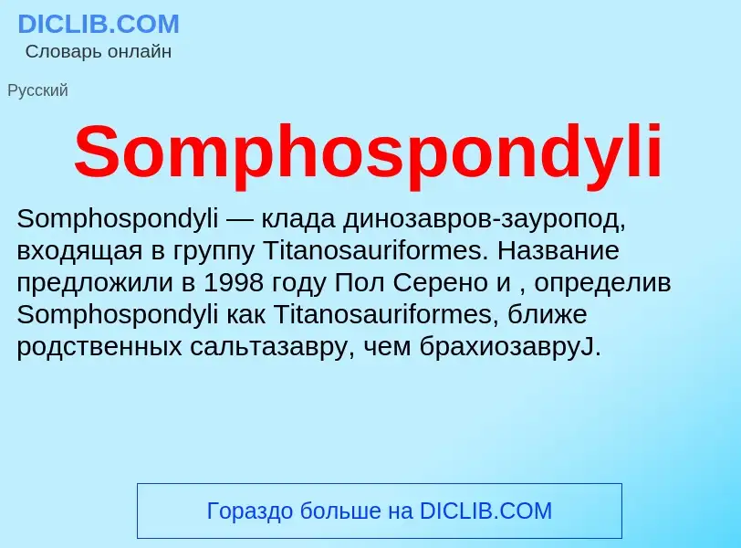 Che cos'è Somphospondyli - definizione