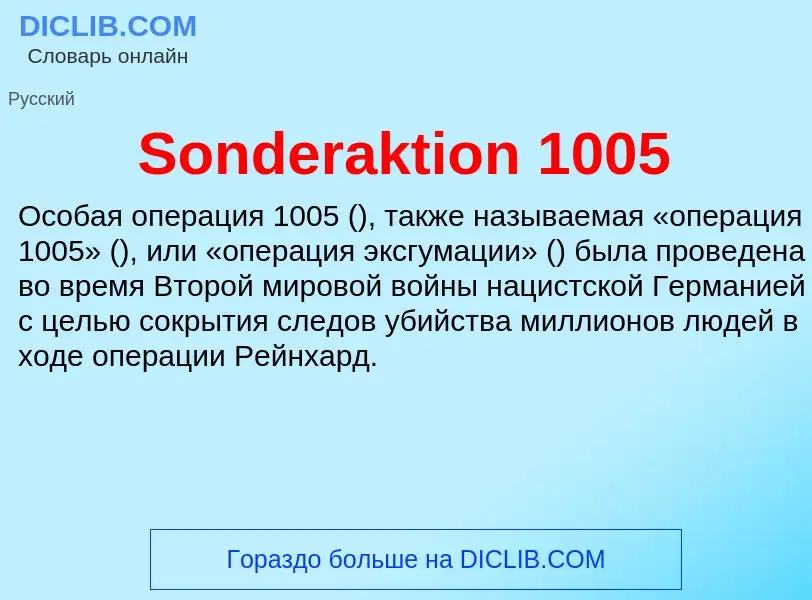 Che cos'è Sonderaktion 1005 - definizione