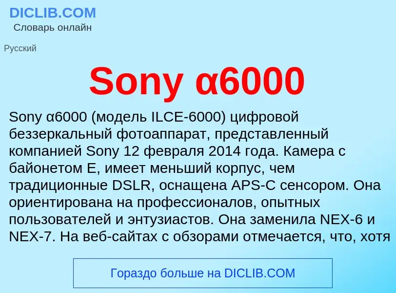 Che cos'è Sony α6000 - definizione