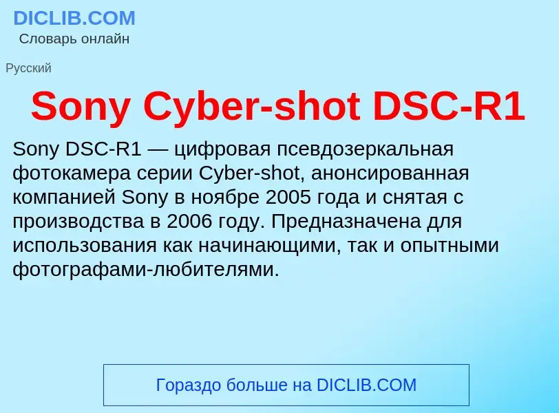 Wat is Sony Cyber-shot DSC-R1 - definition