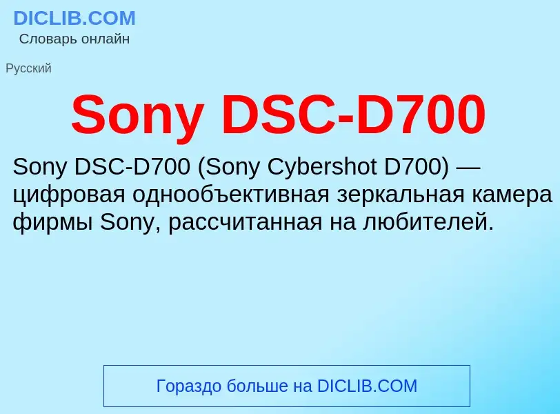 Che cos'è Sony DSC-D700 - definizione