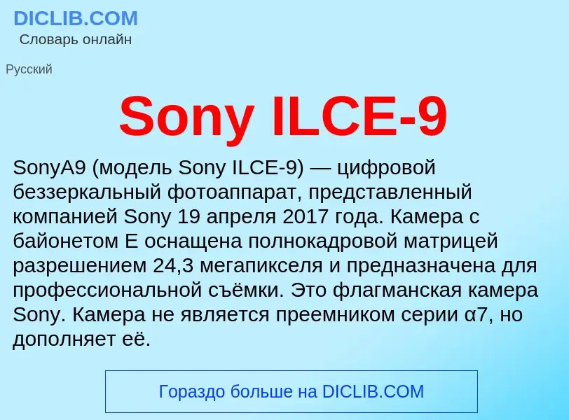 Che cos'è Sony ILCE-9 - definizione