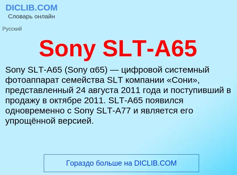 Che cos'è Sony SLT-A65 - definizione