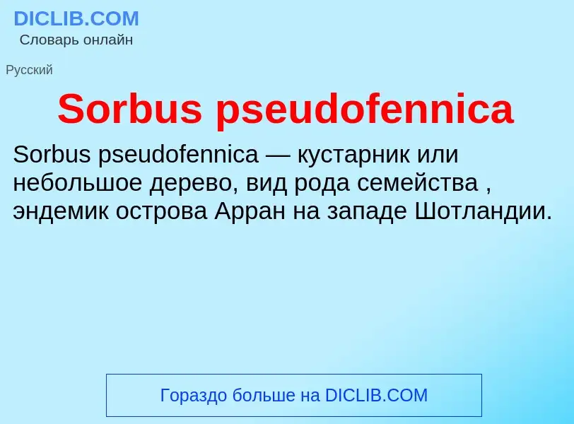 Che cos'è Sorbus pseudofennica - definizione