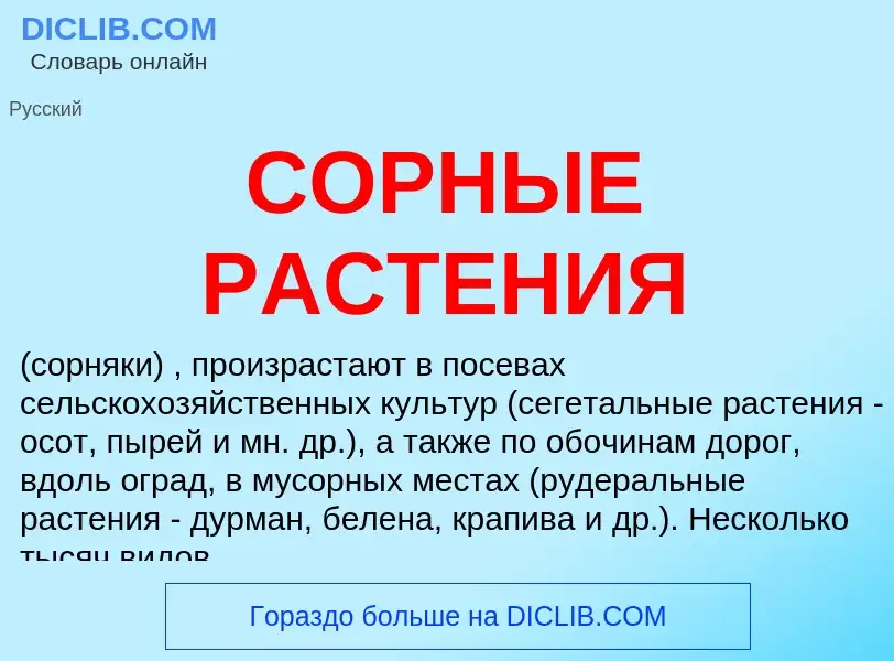 Che cos'è СОРНЫЕ РАСТЕНИЯ - definizione