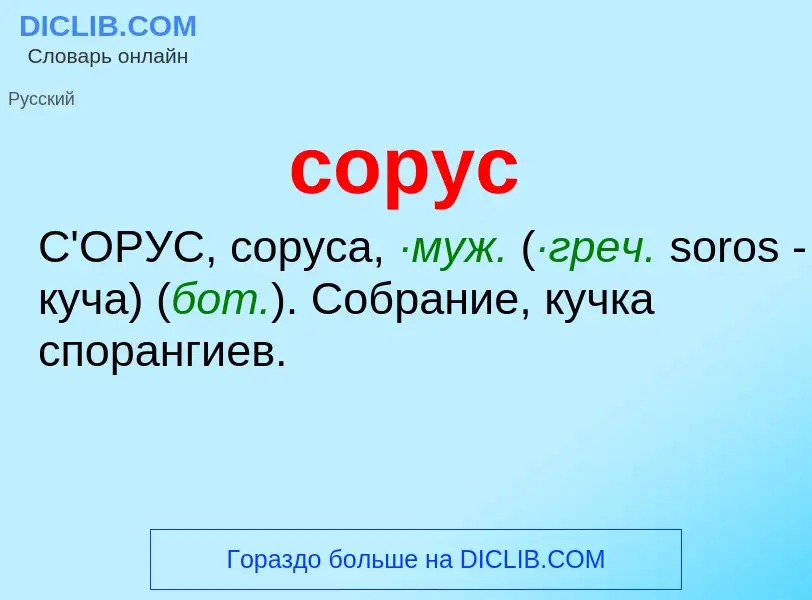 Was ist сорус - Definition