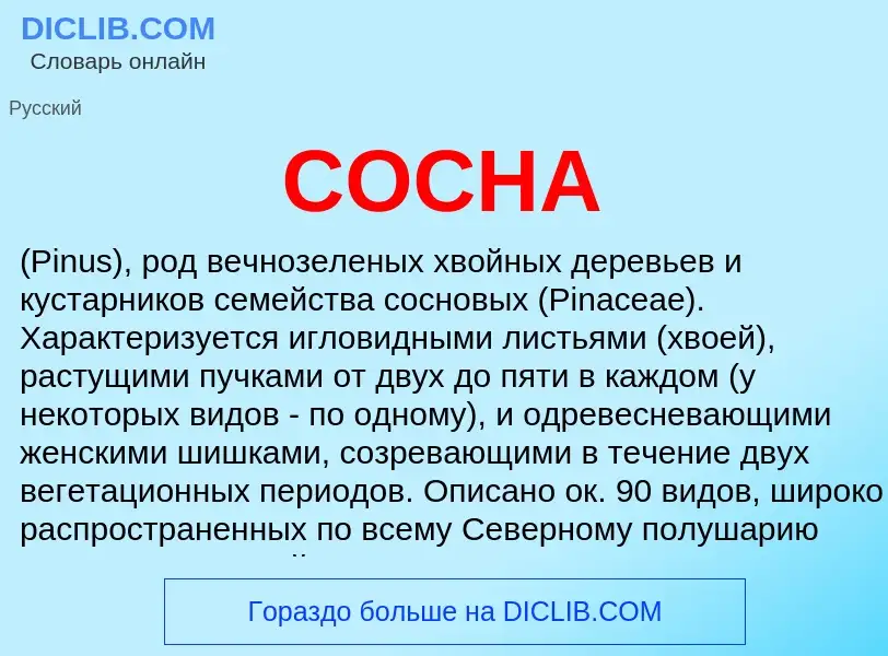 Che cos'è СОСНА - definizione