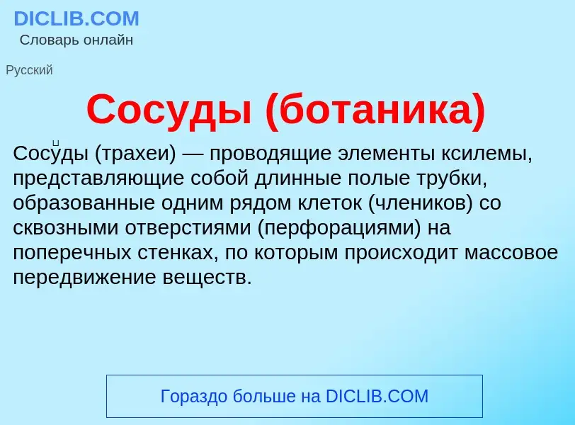 O que é Сосуды (ботаника) - definição, significado, conceito