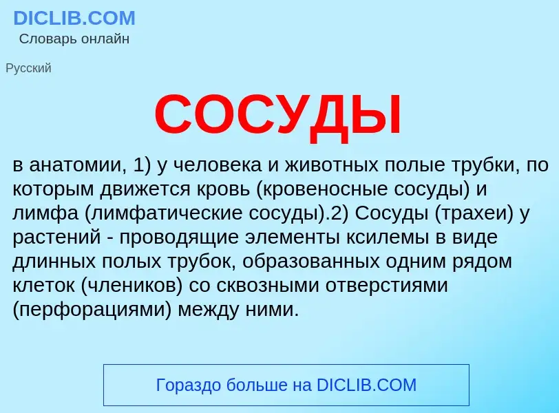 What is СОСУДЫ - meaning and definition