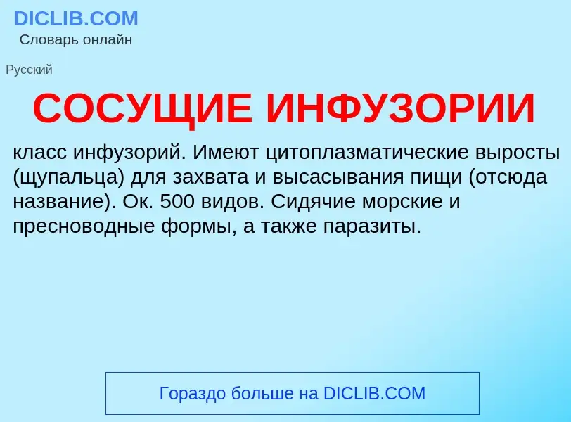 What is СОСУЩИЕ ИНФУЗОРИИ - definition