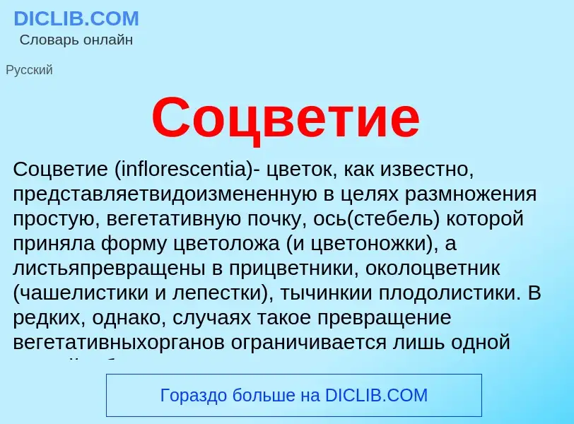 ¿Qué es Соцветие? - significado y definición