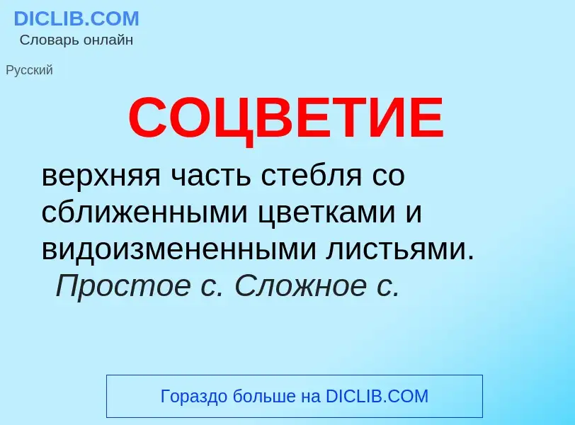 O que é СОЦВЕТИЕ - definição, significado, conceito