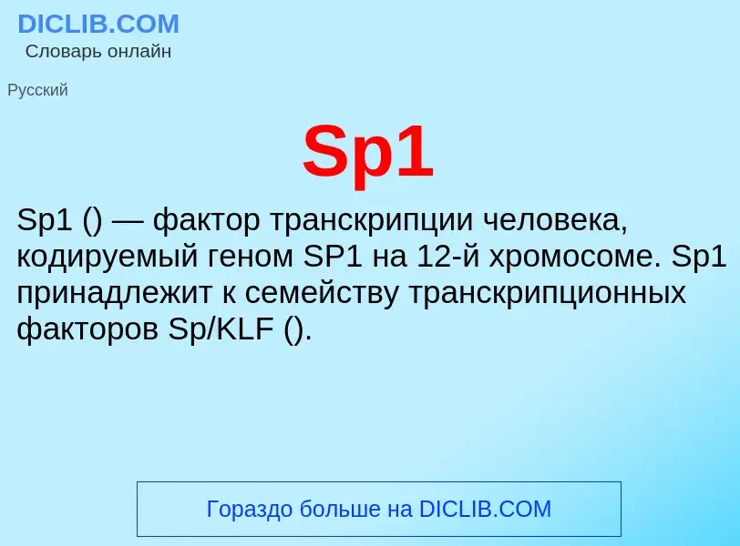 Che cos'è Sp1 - definizione