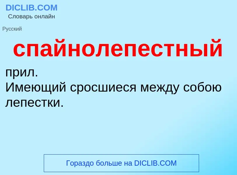 What is спайнолепестный - definition