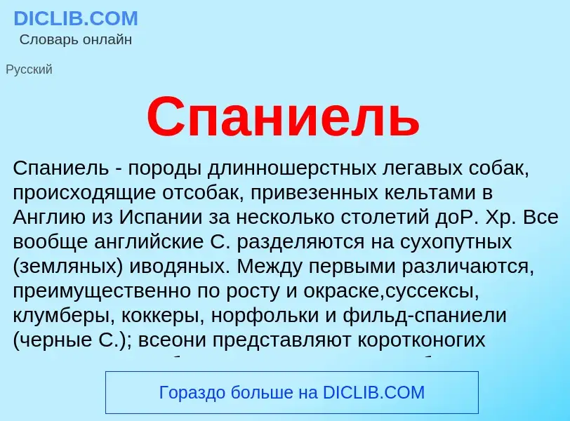 ¿Qué es Спаниель? - significado y definición